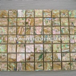 Mother of Pearl Mosaic