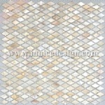 Mother of Pearl Mosaic