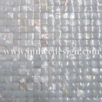 Mother of Pearl Mosaic