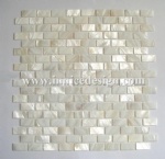 Mother of Pearl Mosaic