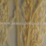 Resin panel with white paddy rice